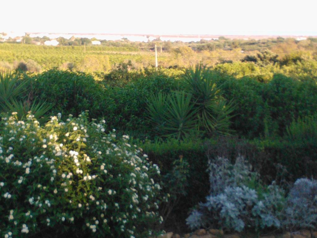 בית הארחה טאווירה 	Quinta Da Moura Casa-De-Campo מראה חיצוני תמונה