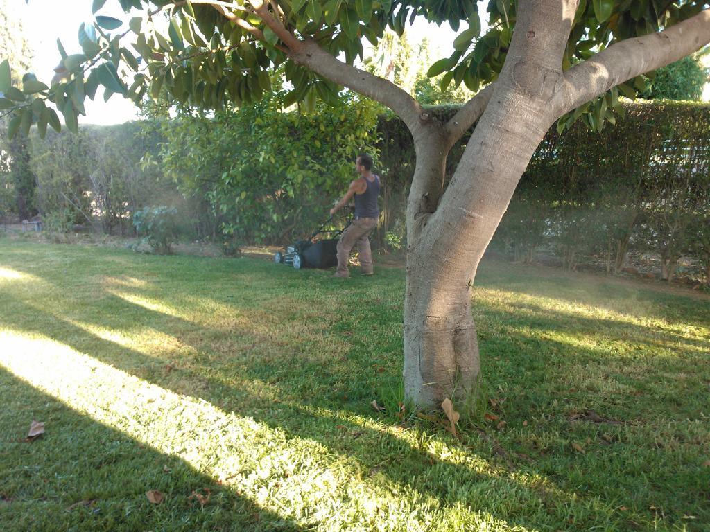 בית הארחה טאווירה 	Quinta Da Moura Casa-De-Campo מראה חיצוני תמונה