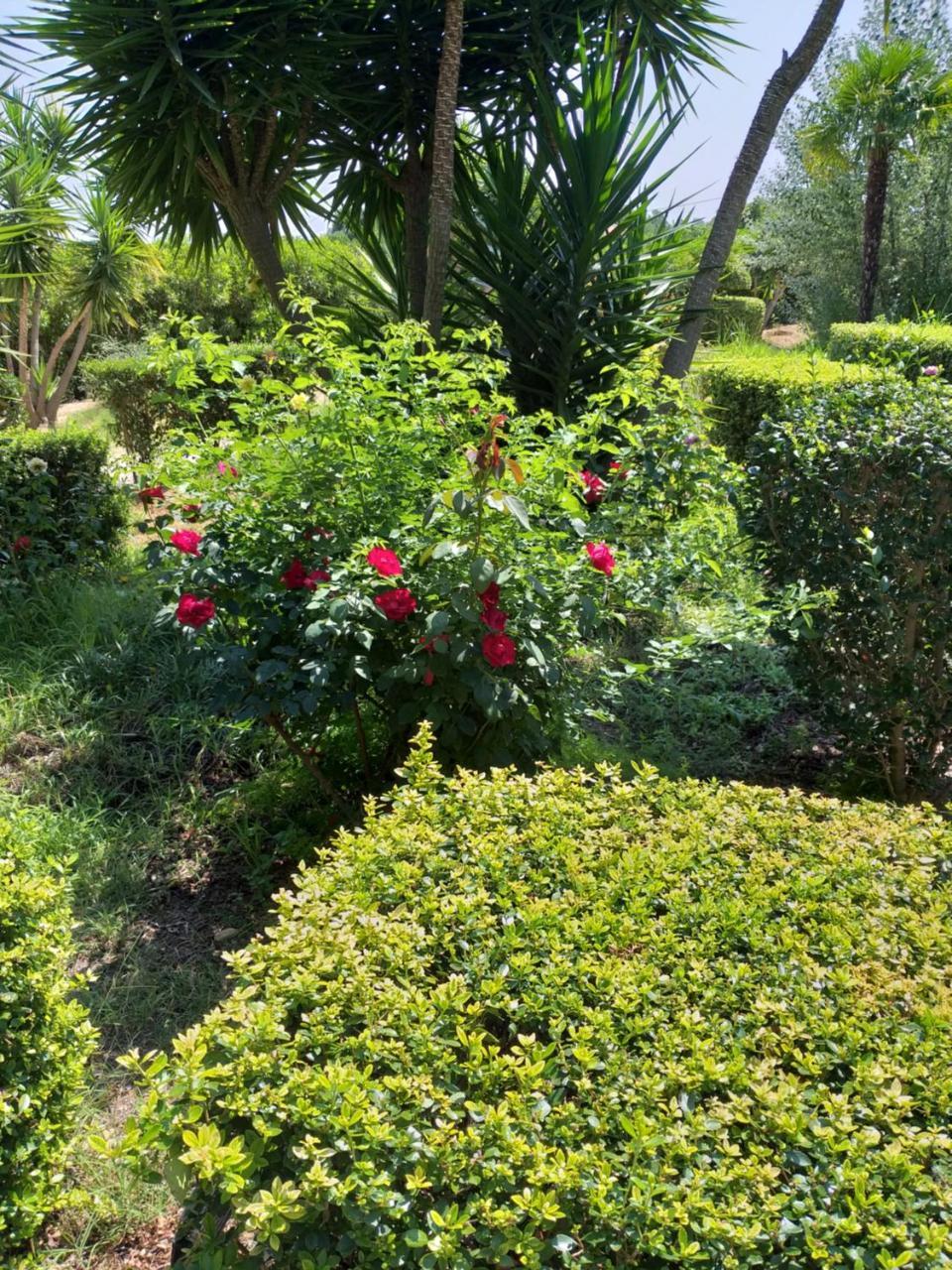 בית הארחה טאווירה 	Quinta Da Moura Casa-De-Campo מראה חיצוני תמונה